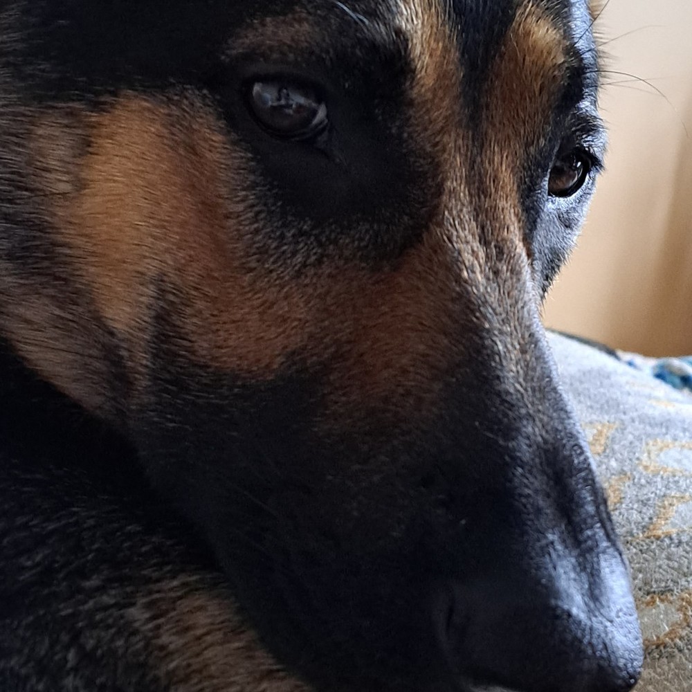Meet your Posher, Eva